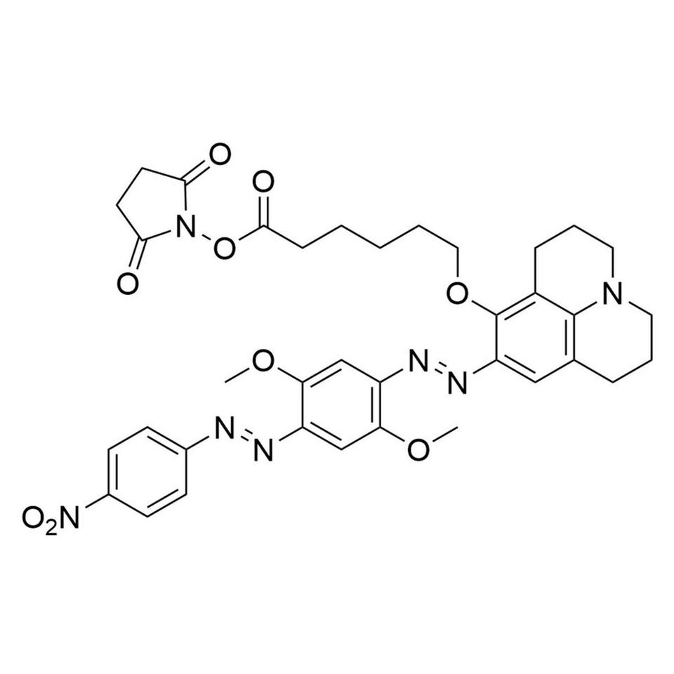 BBQ-650™-N-Hydroxysuccinimide Ester